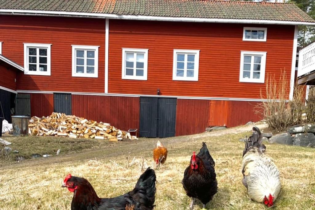 Egen Stuga Och Vedeldad Bastu Linghed Bagian luar foto
