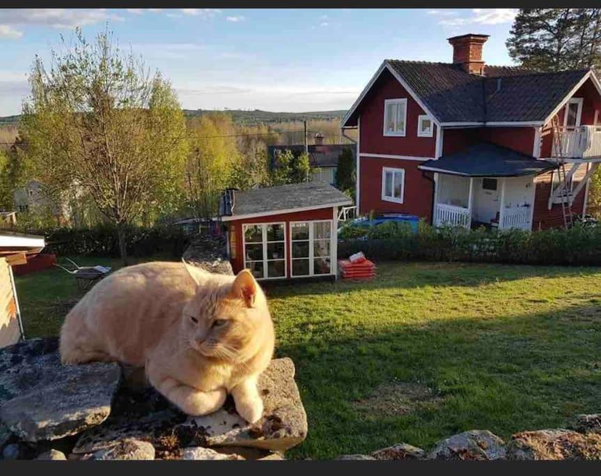 Egen Stuga Och Vedeldad Bastu Linghed Bagian luar foto